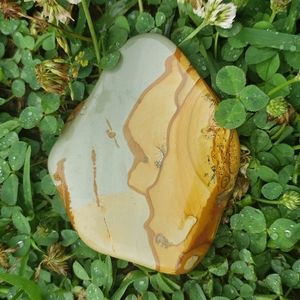Wild Horse Jasper / Picture Jasper